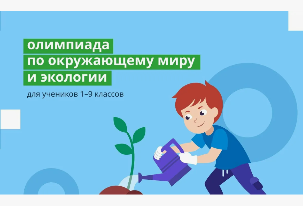 Более 6,5 тысячи вологодских школьников приняли участие в онлайн-олимпиаде по окружающему миру и экологии.