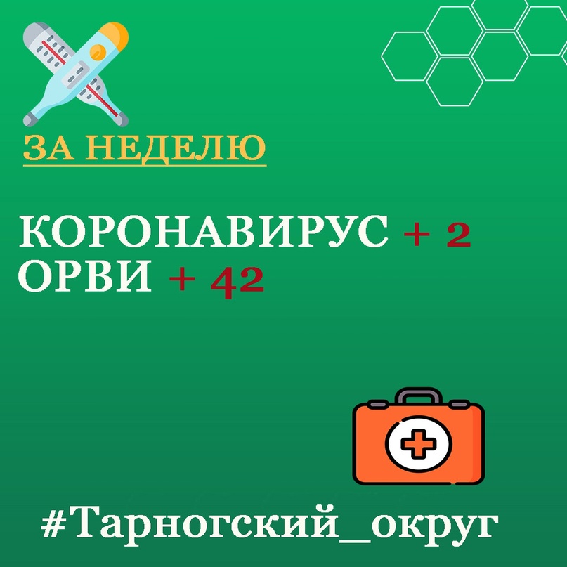 На прошлой неделе в Тарногском округе ОРВИ заболело 42 человека, из них 27 детей..