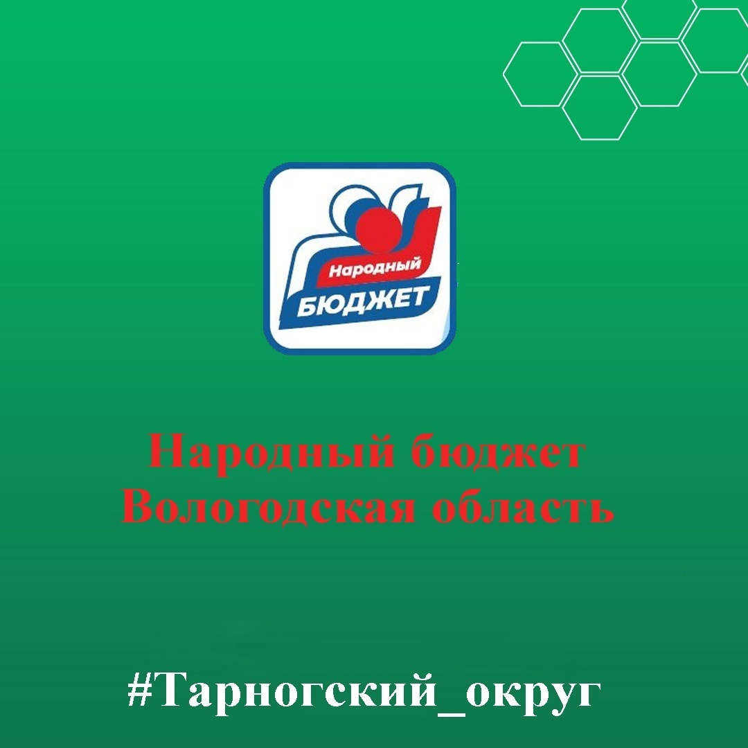 «Народный бюджет» - самый популярный проект за последние несколько лет в Вологодской области и в нашем Тарногском округе.