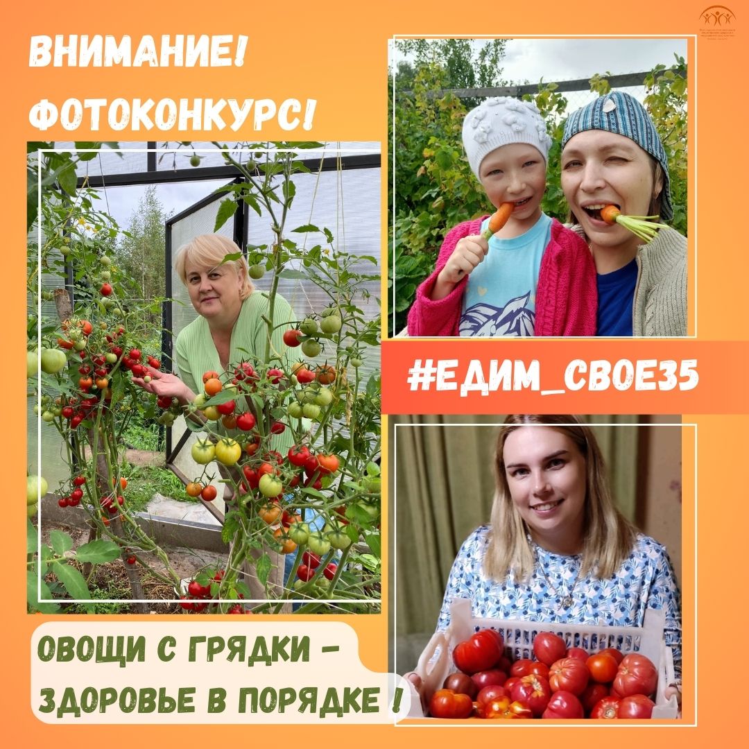 Вологжан приглашают принять участие в областном фотоконкурсе «Овощи с грядки - здоровье в порядке».