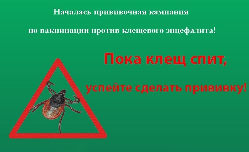 В Тарногской ЦРБ началась прививочная кампания по вакцинации против клещевого энцефалита!.