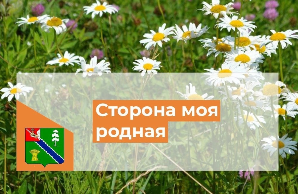 «Сторона моя родная в гармонии с природой».