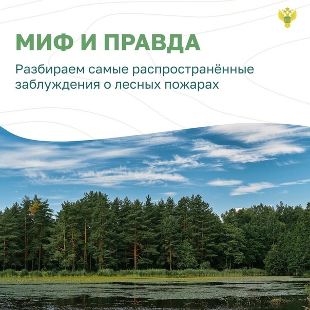 Почему возникают лесные пожары? Нужно ли жечь сухую траву?.