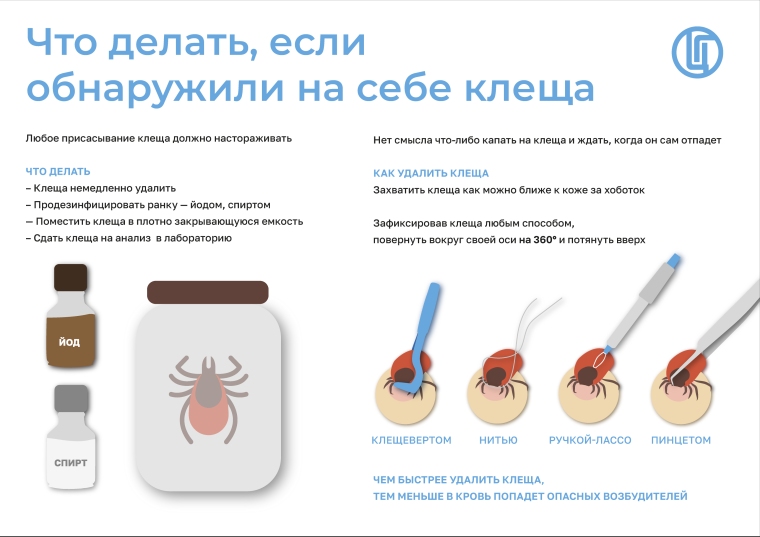 Мониторинг за клещевыми инфекциями. Мониторинг за клещевыми инфекциями.